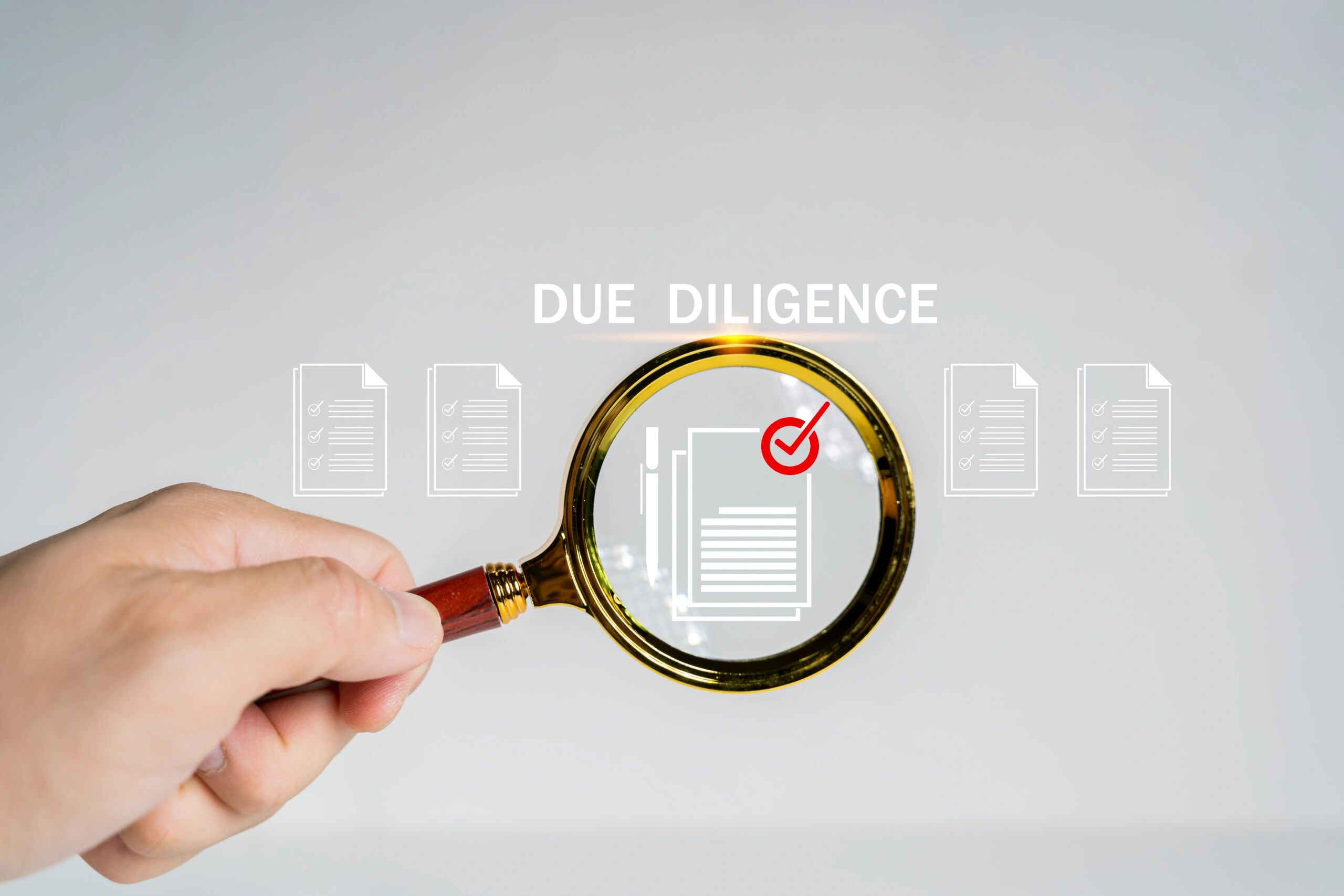 Due Diligence